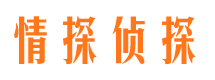 双柏市私家侦探